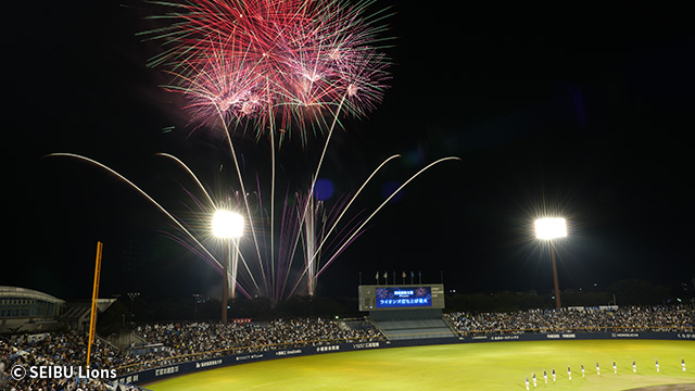 529543_firework